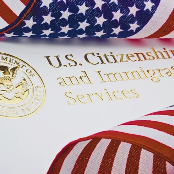 U.S. Department of Homeland Security logo. why is USCIS taking so long